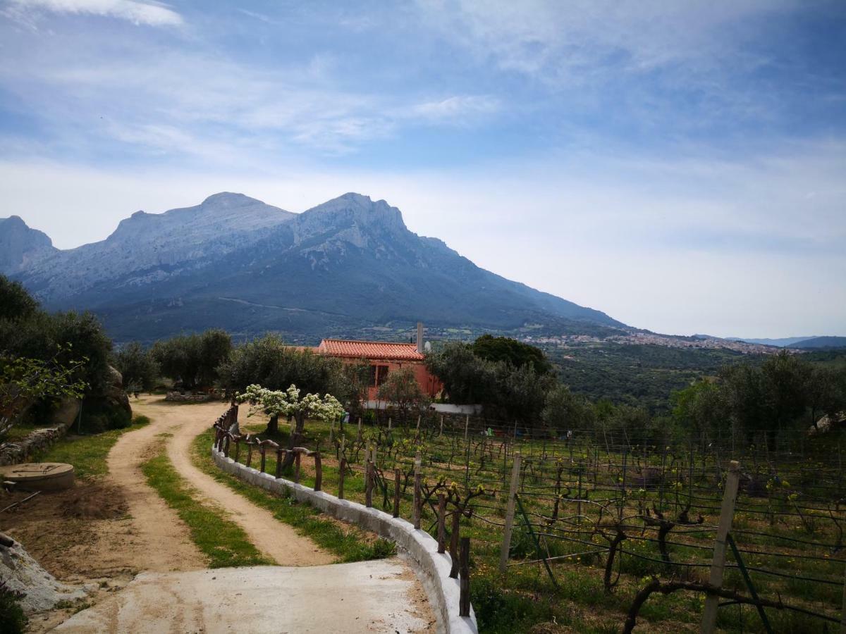 Villa L'Oleandro Oliena Zewnętrze zdjęcie